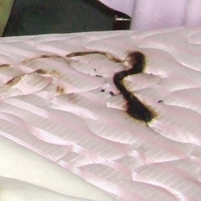 Electric Blanket Safety Electric Blanket